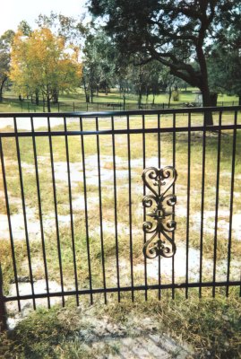 LEAD Technologies Inc V1 01